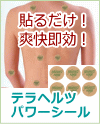 テラヘルツパワーシール